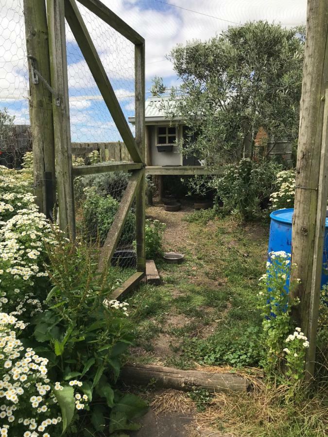 Apartament Langleys Port Campbell Hobby Farm Zewnętrze zdjęcie
